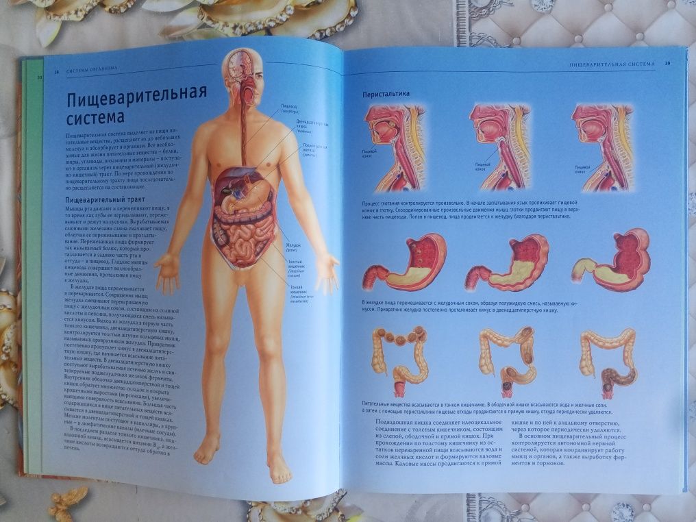 Odam anatomiyasi Atlas Sotiladi
