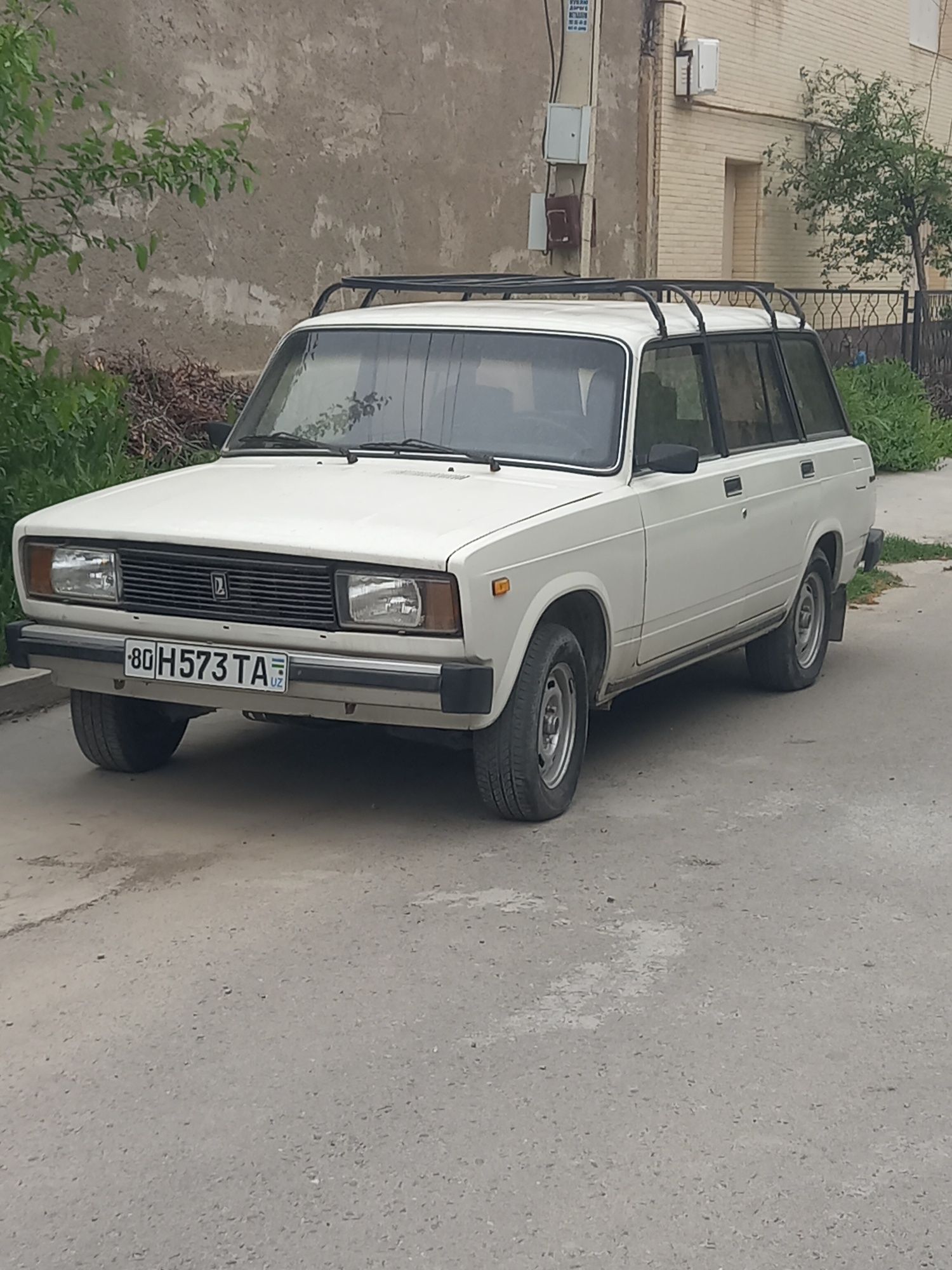 2104 juguli mator yangi