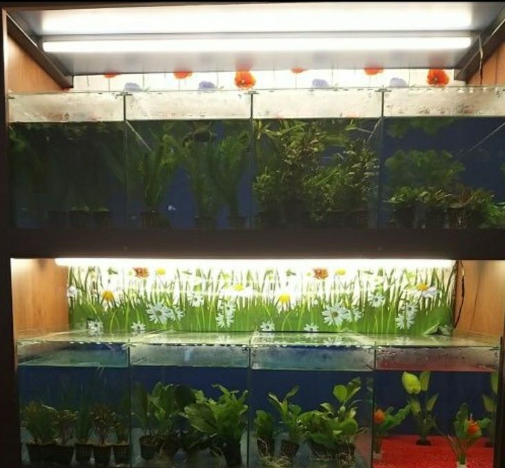 Mobilier cu acvarii & terariu – ideal pentru petshop / crescători / pa