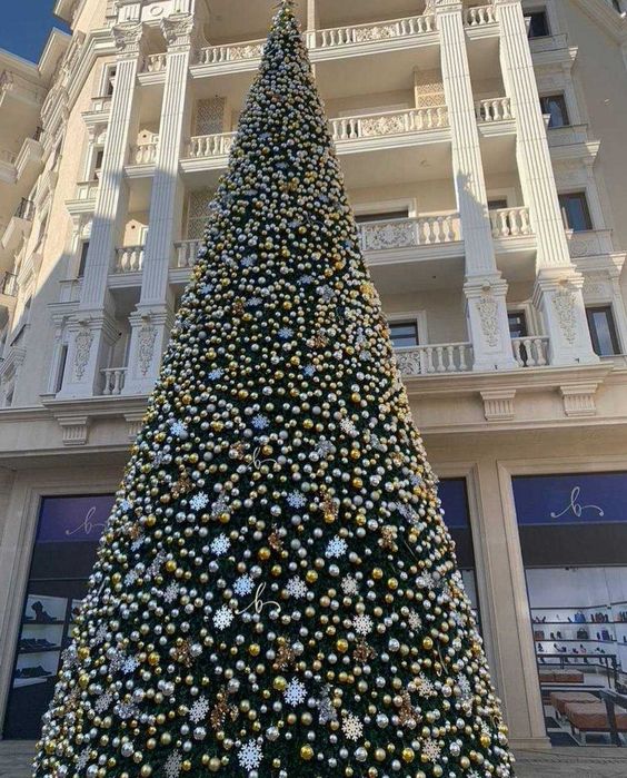 Президентские ёлки от 5 метров да 40 метров