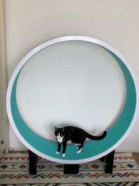 Ferris Wheel Cat (produs original) roata de alergat pentru pisici