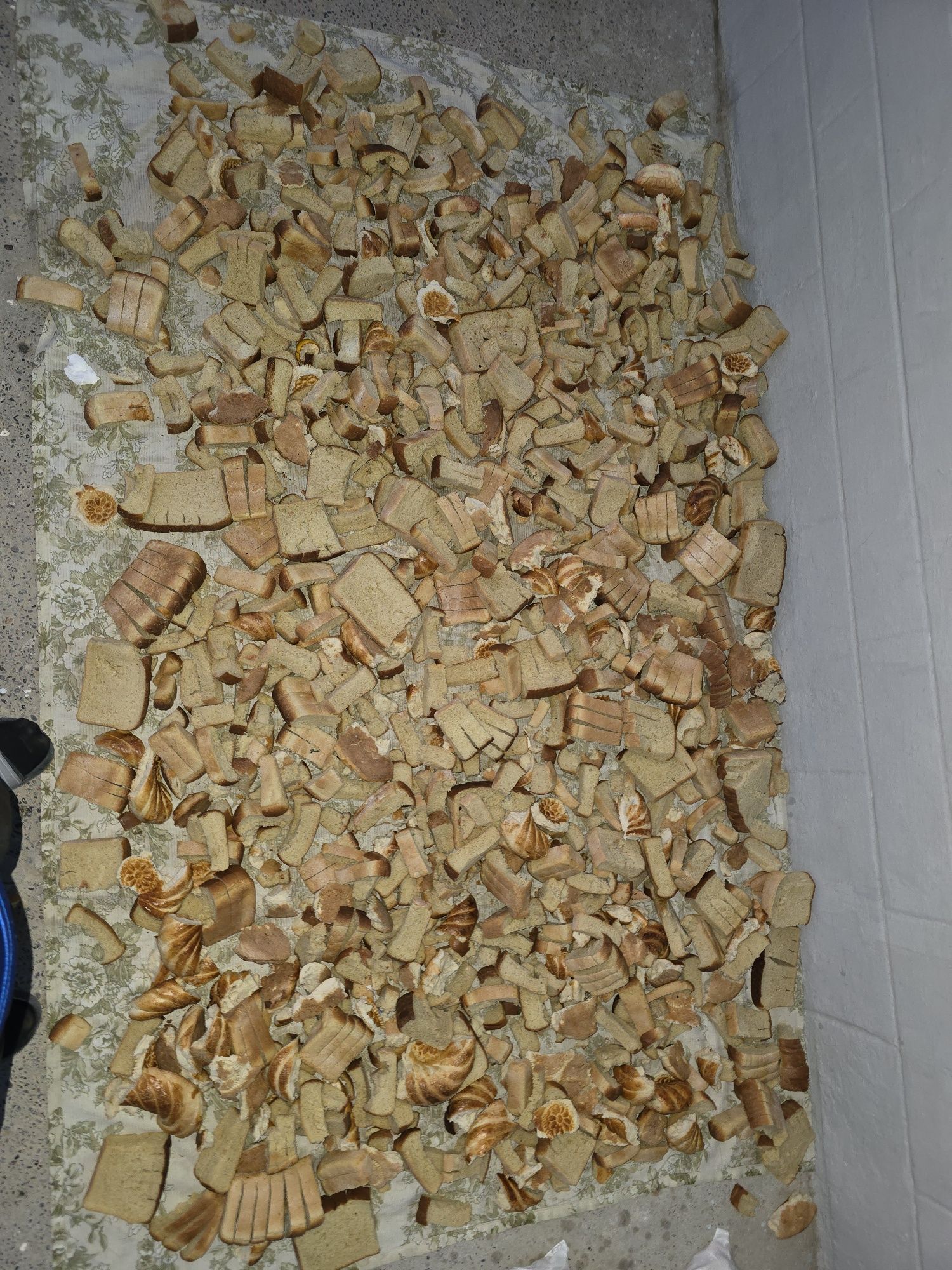 Qoplangan qotgan non sotoladi. 50 mingdan