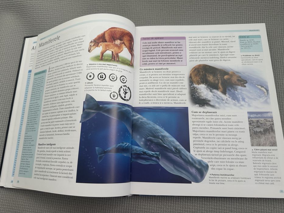 Enciclopedia lumii pentru copii