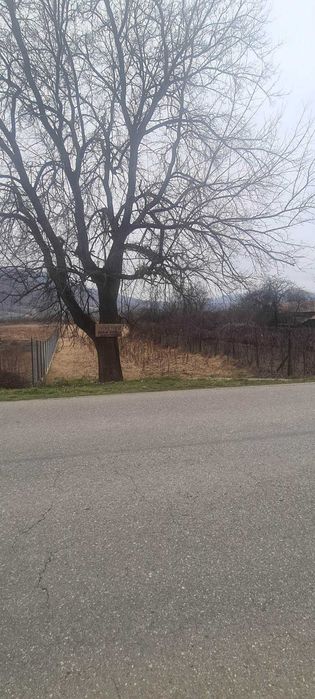 Teren intravilan Jiblea Nouă. Călimănești 6558m