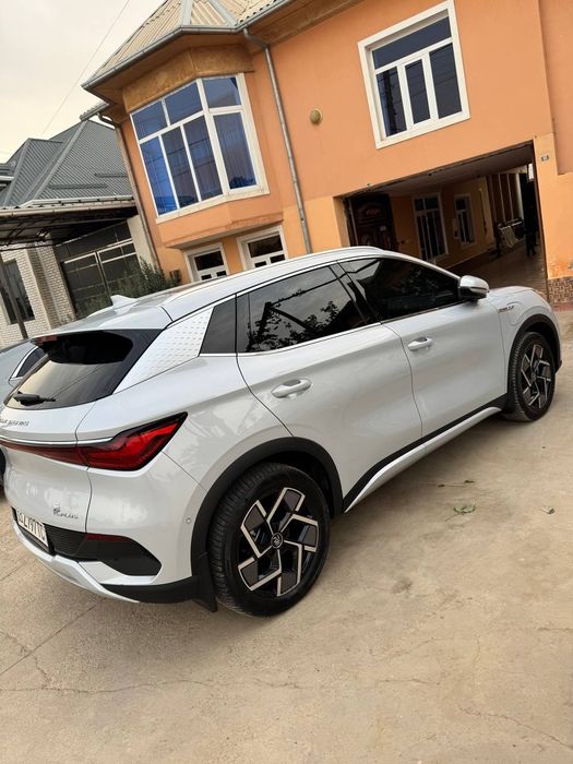 Byd yuang pilus 5 pazitsiya fulli