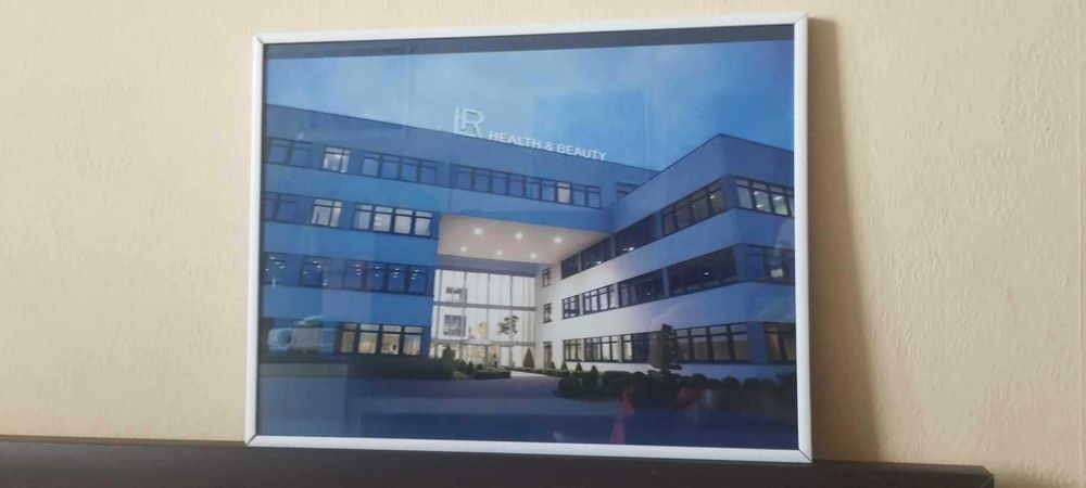 Две картини на ЛР, LR health and beauty, подходящи за офиса