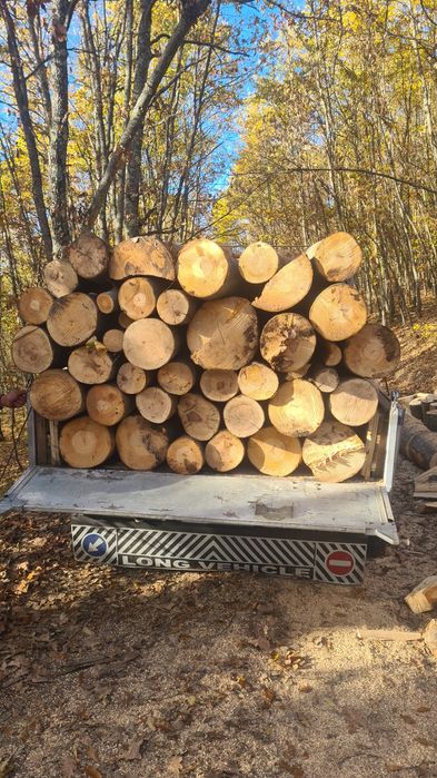 Vand lemne transport gratuit