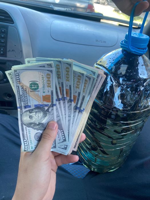 свежее пиявки продаже