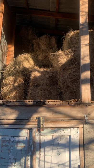 Садовое сено   .