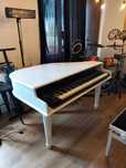 Carcase pian la comanda pt clapa