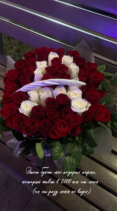 Цветы полученные сегодня после обеда к вечеру