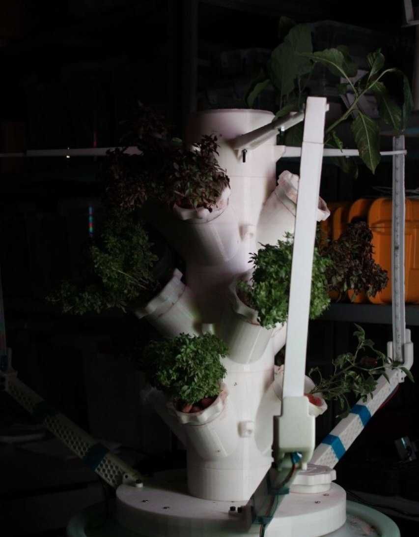 3D печать  3D bosib chiqarish