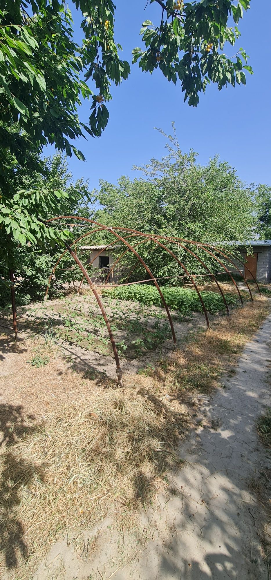 Parnik, issiqxona