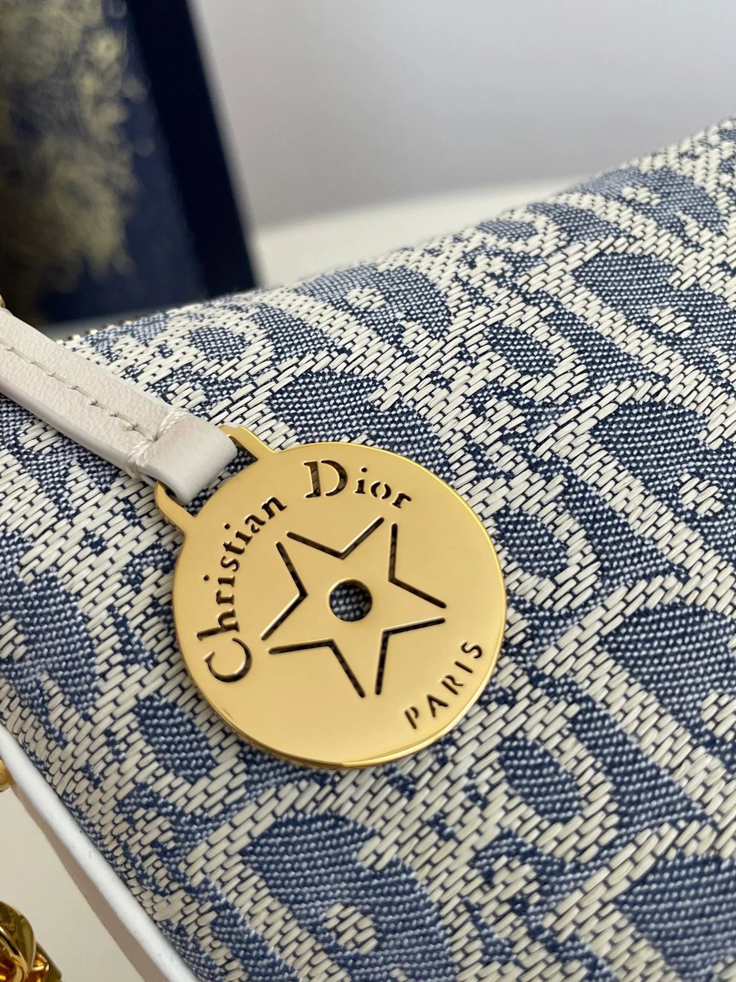 Dior Diorstar Hobo Blue Oblique Chambray