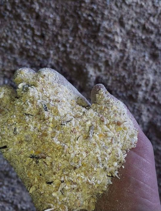 Făină furajeră 1,8 lei