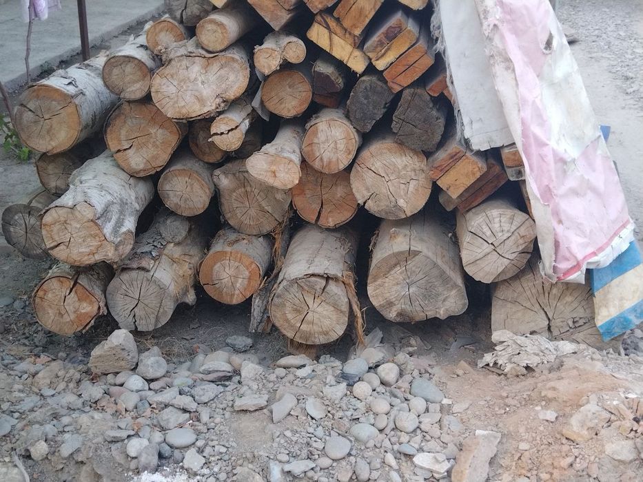 Teraklar bor Tosinlar4.8, Tildiradigan 6 metr + 5 metr,  3 i 2 metrli