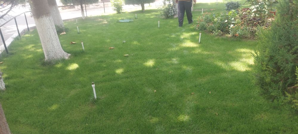 Gazon ekish xizmati  bog'bon xizmati