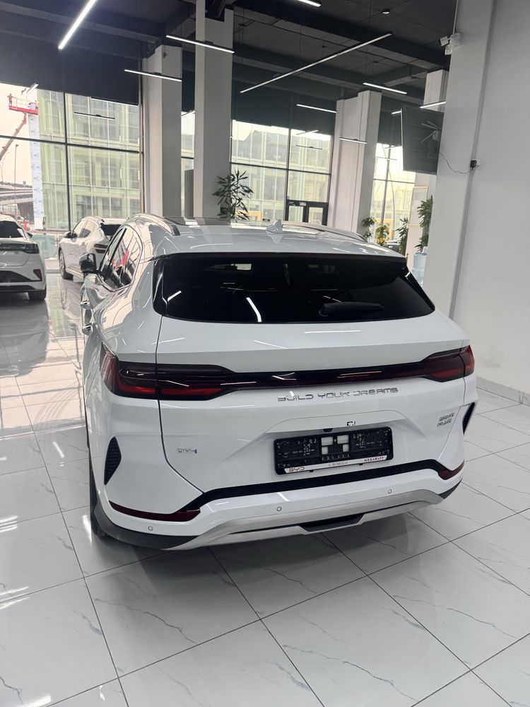 Byd chempion 2024 gbrid