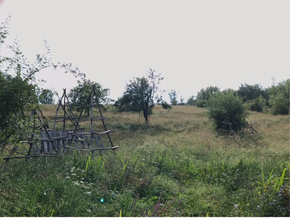 Teren 1 hectar Nucsoara Arges