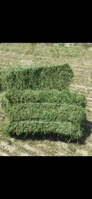 Беда прес сотилади  500донa