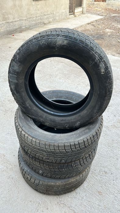 Бу бір сезон жүрілген зимнигой