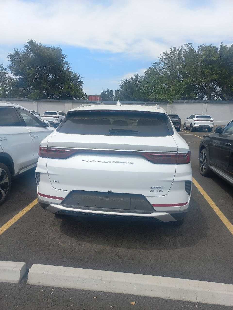 BYD Song Plus 110 km Flagship