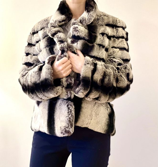 Blana Rex Chinchilla