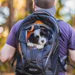 Rucsac hiking caini