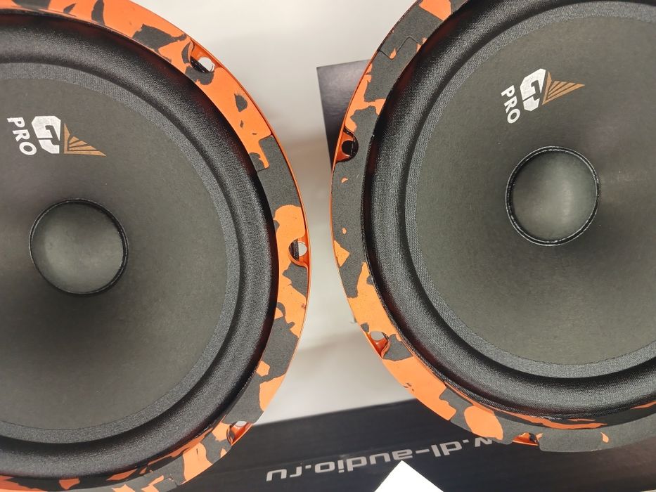 Dl Audio Gryphon pro 200 middbass