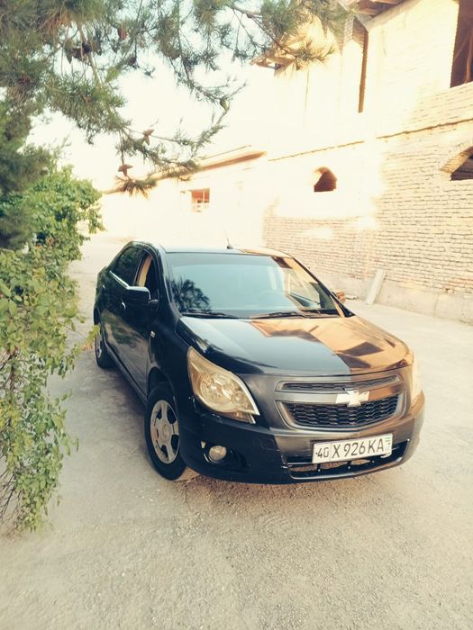 Kobalt soʻyladi 2014yil pul zarl