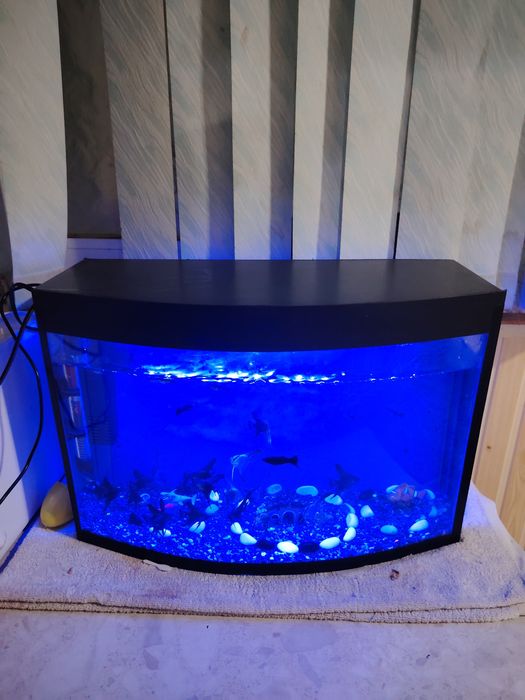 Akvarium 40Litr komplekt