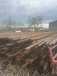 Teava tubing stoc