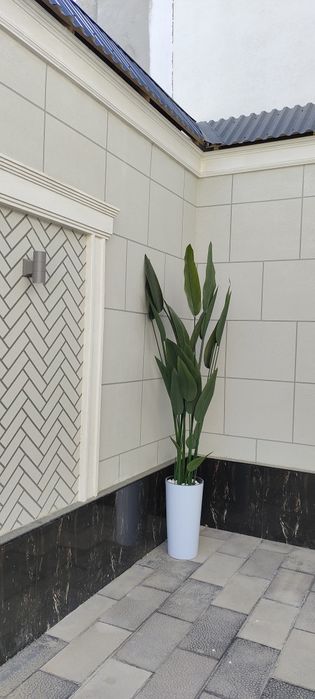 Hovli-katej Guliston 3