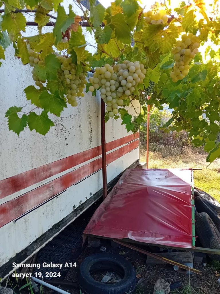 Продава се Земеделски имот в с. Приморци, Област Добрич -  кв.м за 8925 €/дка - Снимка #6