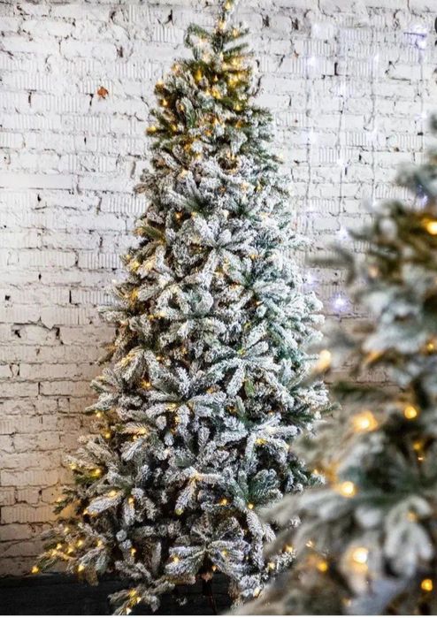 Ёлки новогодние + подарок каждой ёлки