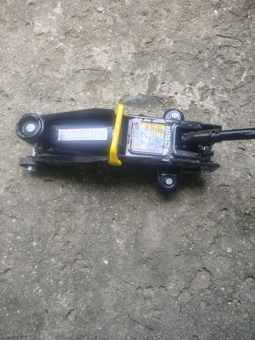 Cric crocodil 2 tone