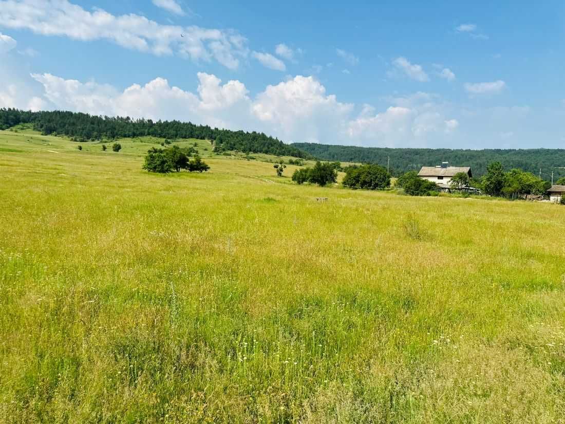 Земеделска земя до регулация село Горно Крайще, град Белица