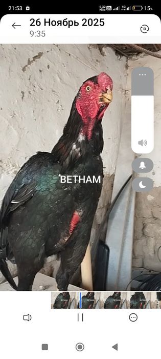 Сатлады сатлады .