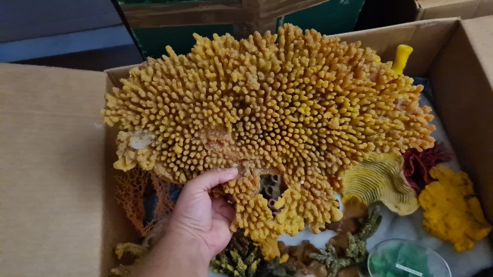 Corali artificiali pentru acvarii