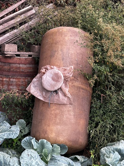 Vand doua butoaie: fibra sticla si plastic