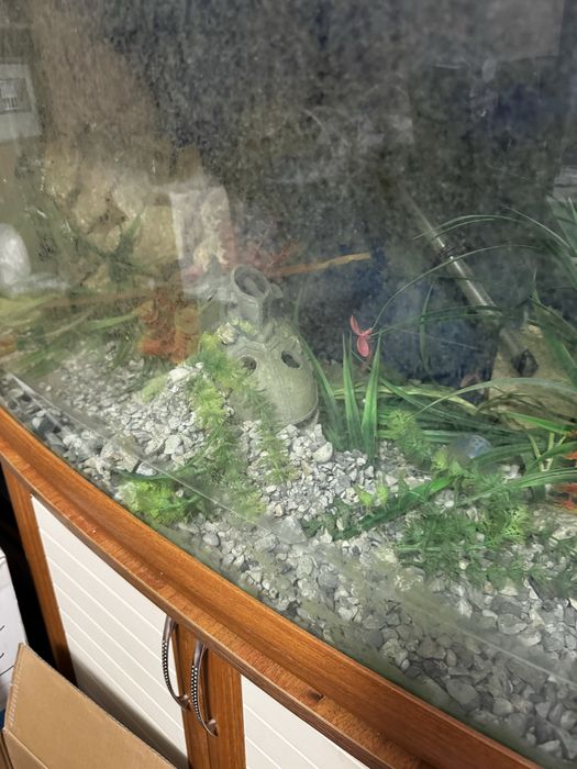 Аквариум продается