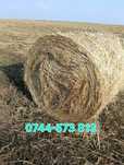 Baloti lucerna C1,C2 min40.Drept 500 sau fan.La TIR"RO Transp.inclus