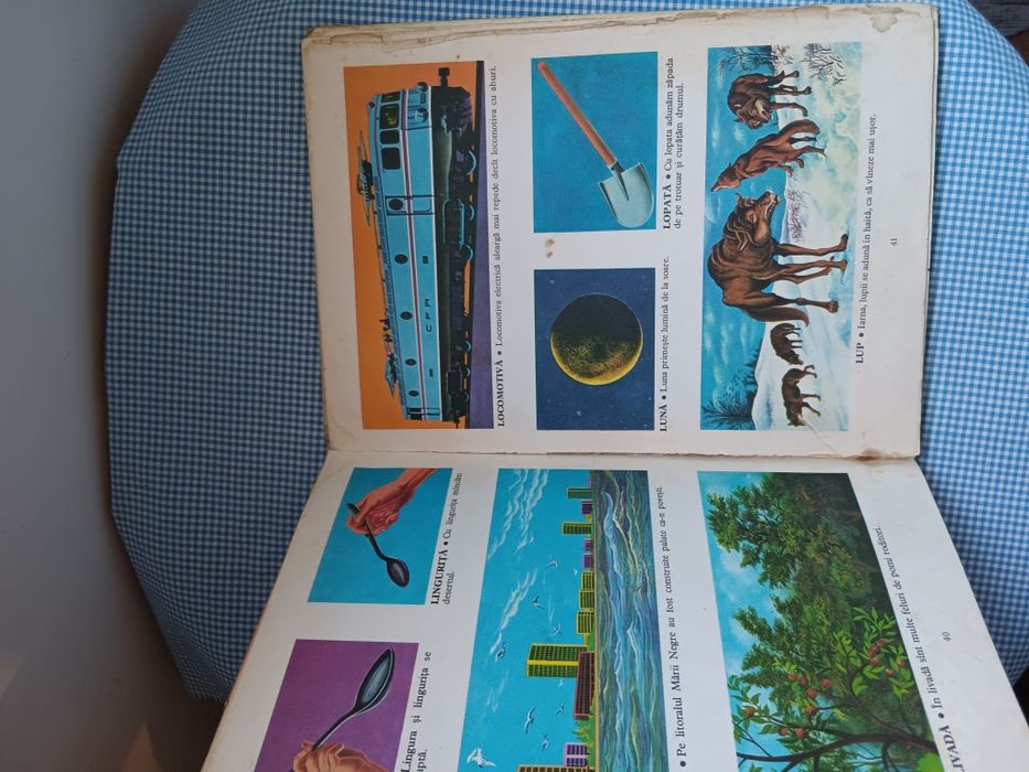 Carte Primul meu dictionar, Albin Stanescu, copii  perioada comunista