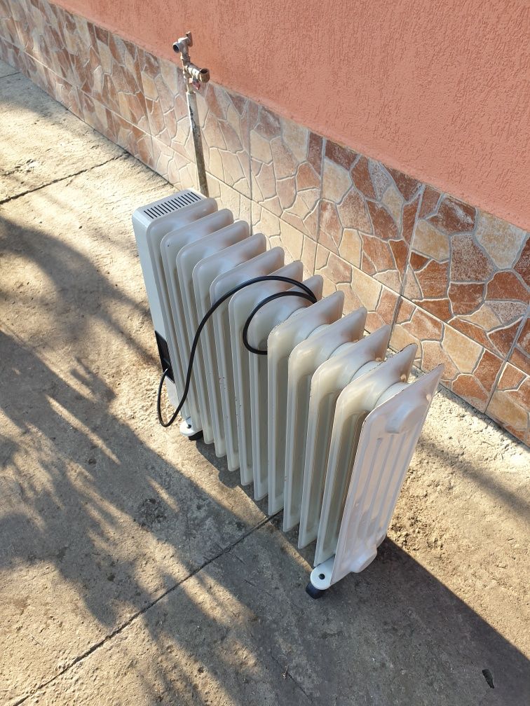 Radiator electric