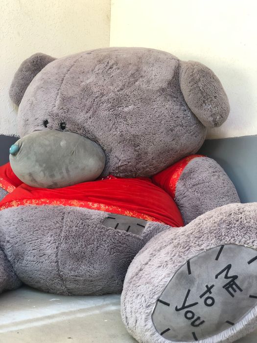 Медведь в продаже