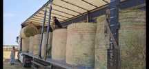 Baloti lucerna Rotunzi min.40.Drept500.Sau fan.Trans.inclus TIR"RO
