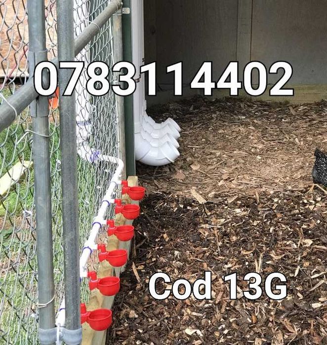 Adapatori automate gaini pui pasari curci fazani rate porumbei - 13G