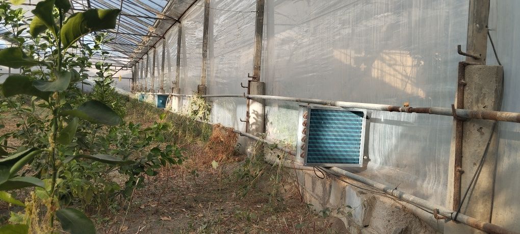 14sotixli (Teplitsa) Issiqxona sotiladi