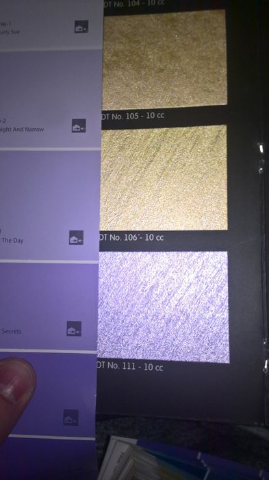 vopsitor - decorator - zugrav