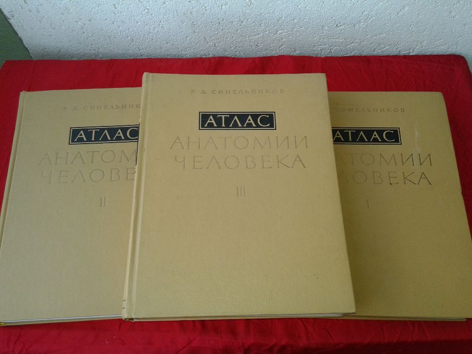 Атласи по анатомия на човека Синелников атлас по медицина стоматология